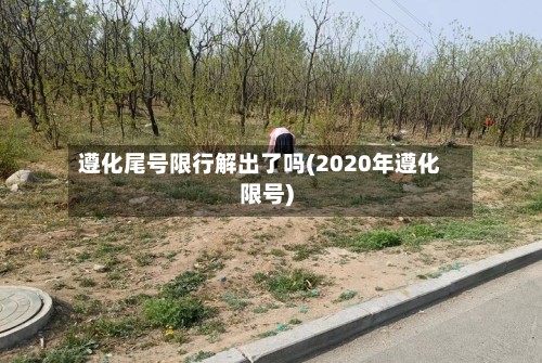 遵化尾号限行解出了吗(2020年遵化限号)