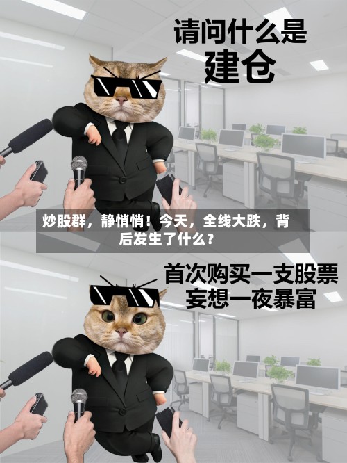炒股群	，静悄悄！今天，全线大跌，背后发生了什么？-第2张图片