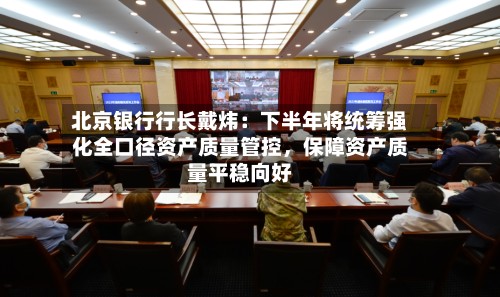 北京银行行长戴炜：下半年将统筹强化全口径资产质量管控	，保障资产质量平稳向好-第2张图片